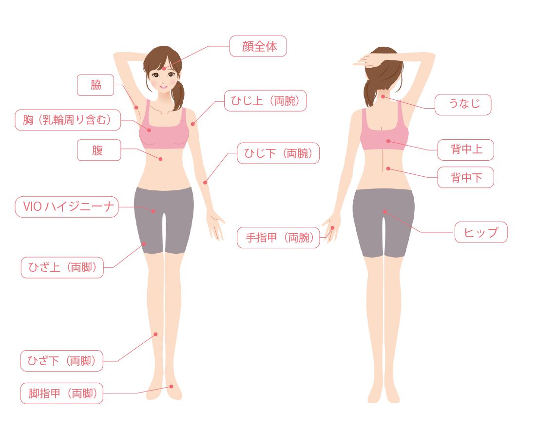 全身パーフェクトコース