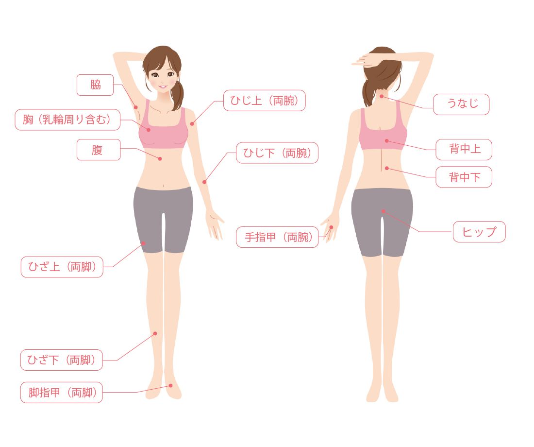 全身ベーシックコース