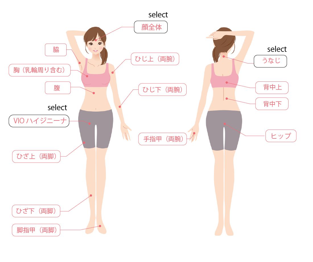 全身ライトコース